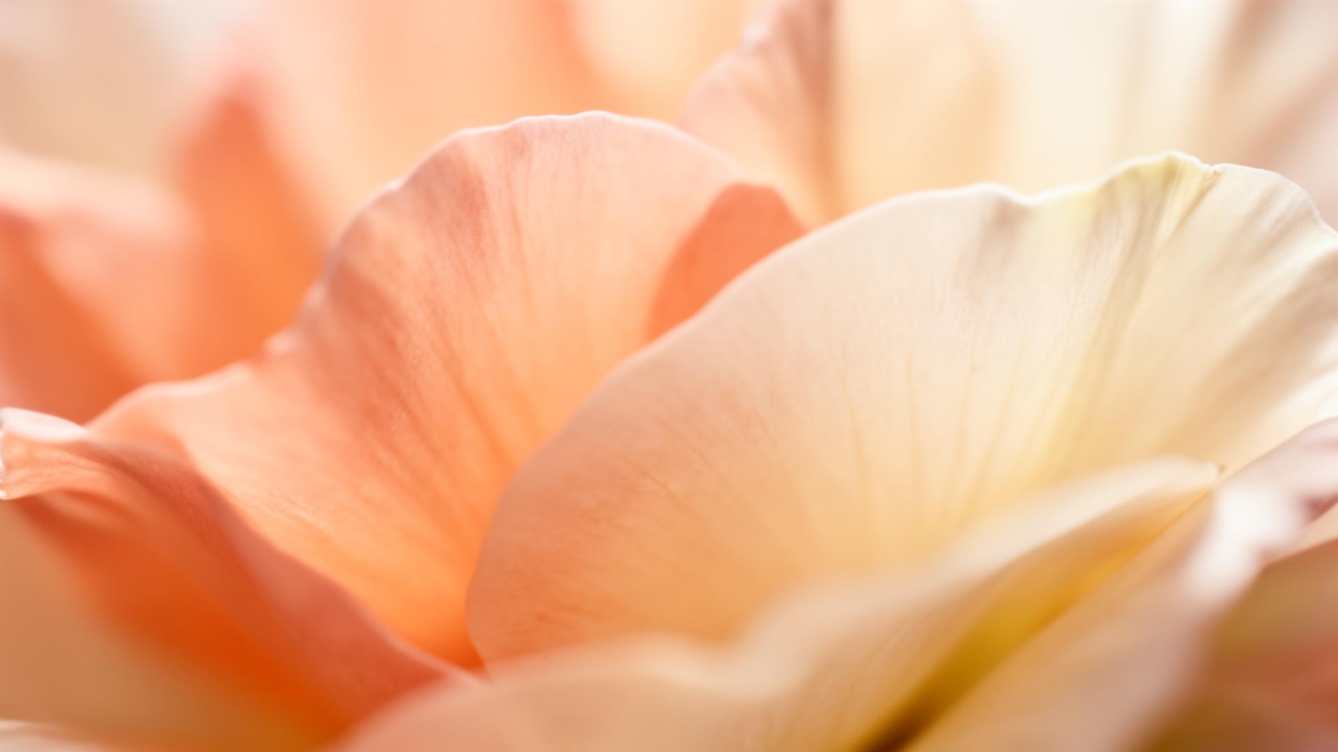 The Botanist patient platform